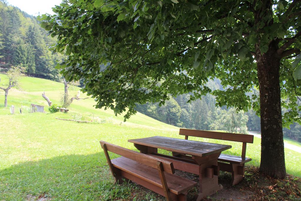 Domacija Za Robom Διαμέρισμα Cerkno Εξωτερικό φωτογραφία